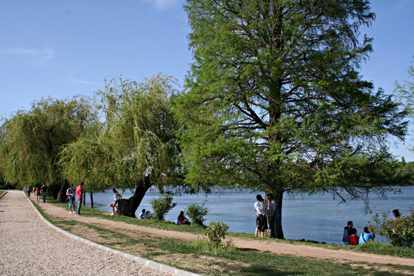Relaxing on the Shore of Herastrau Lake
