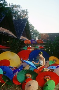 Thai Umbrellas