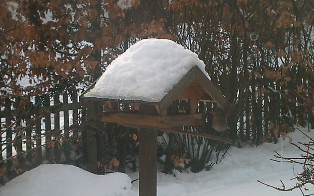 Bird Table in Winter