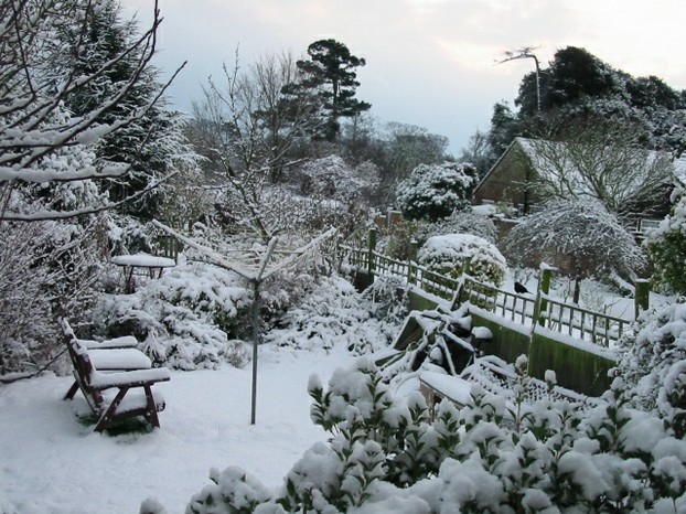 Garden in Winter