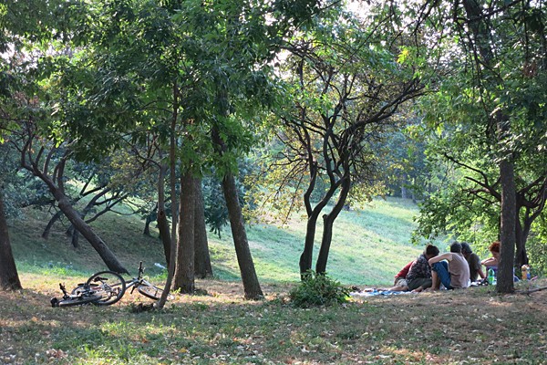 Playing cards in the park on a public holiday