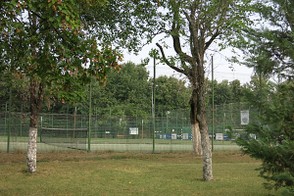 Playing tennis in the evenings