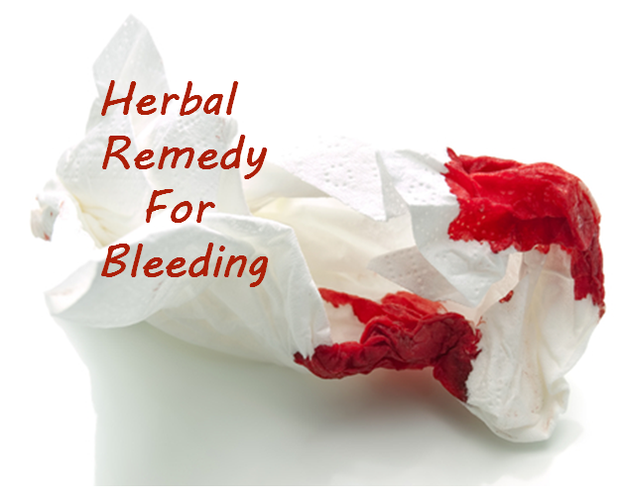 Herbal Remedy For Bleeding