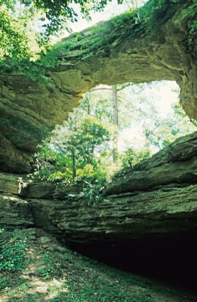 natural bridge (above) arches over rockshelter (right lower foreground