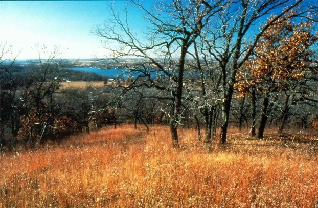 Oak Opening State Natural Area (No. 229), Kettle Moraine State Forest-Southern Unit