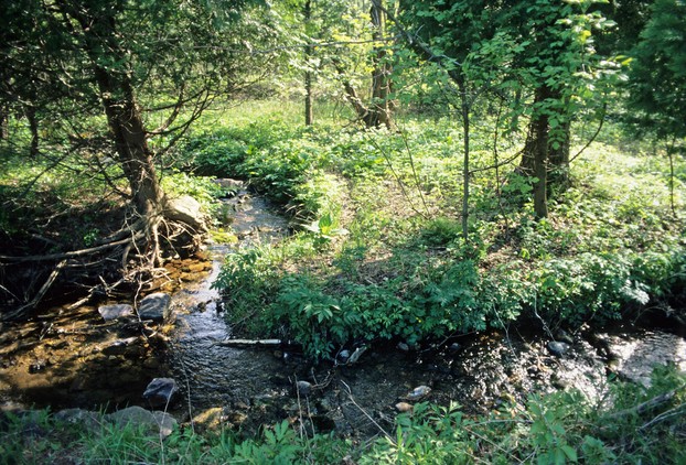 Parfrey's Glen Creek