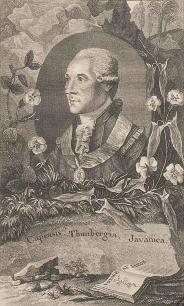 frontispiece, Voyages de C.P. Thunberg, au Japon, par le Cap be Bonne Espérance, les Isles de la Sonde, etc. (1796)