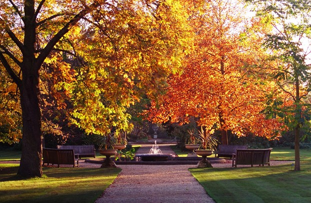 autumn foliage in Walled Garden, University of Oxford Botanic Garden
