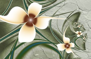 Geometric flowers created in Ultra Fractal
