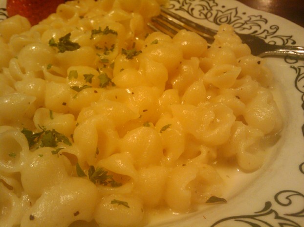 closeup of variation of macaroni and cheese made with shell pasta (conchiglie)