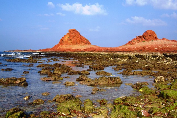 Dhi Hamri Marine Conservation Area, Cape Dhi Hamri, northeastern Socotra; Sunday, July 17, 2011, 16:17:40