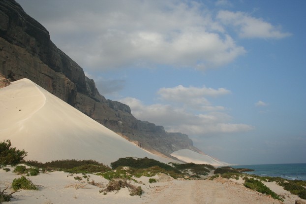 Socotra's sand dunes; Monday, November 9, 2009, 12:50:59