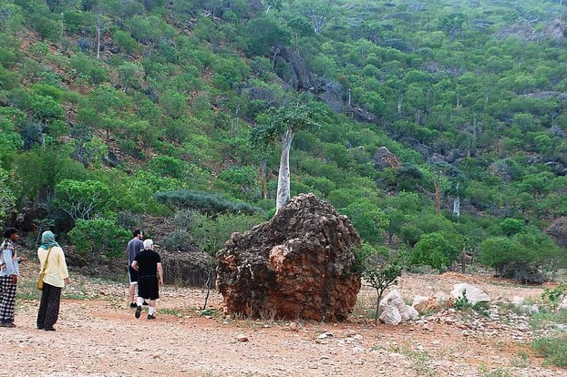 Hadibu (Hadiboh), north coast, Socotra; Wednesday, November 9, 2011, 23:25:44