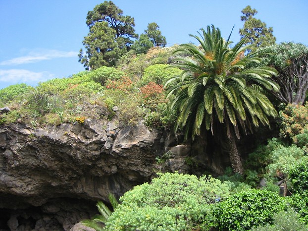 Cueva de Belmaco, eastern La Palma, northwestern Canary Islands; Wednesday, April 12, 2006, 12:41:51