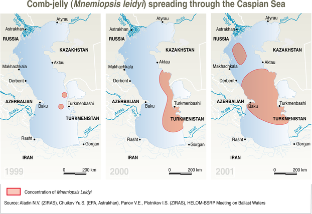 Comb-jelly (Mnemiopsis leidyi) spreading through the Caspian Sea (invasive species)