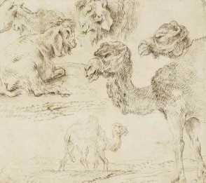 Giovanni Benedetto Castiglione, Studies of dromedaries and goats,c 1630