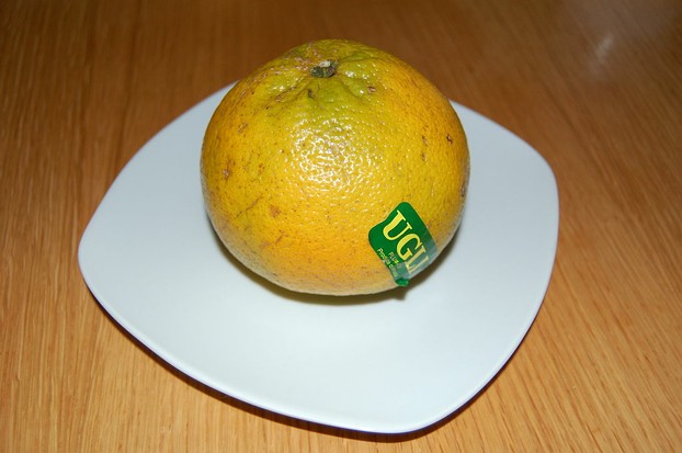 UGLI® fruit with white plate