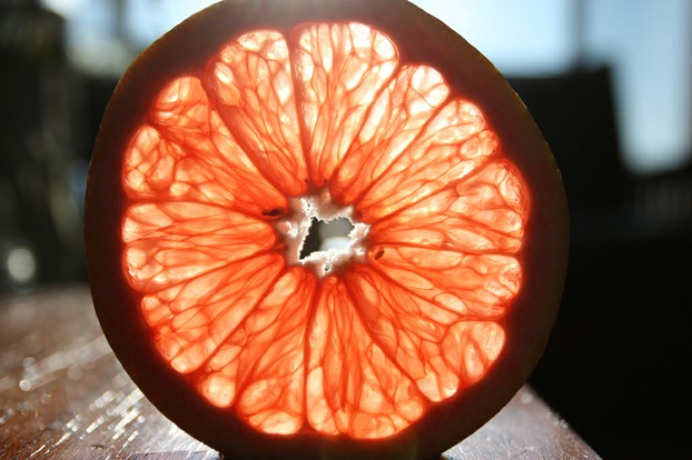 "grapefruit slice"