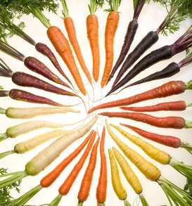 Carrots of Many Colours
