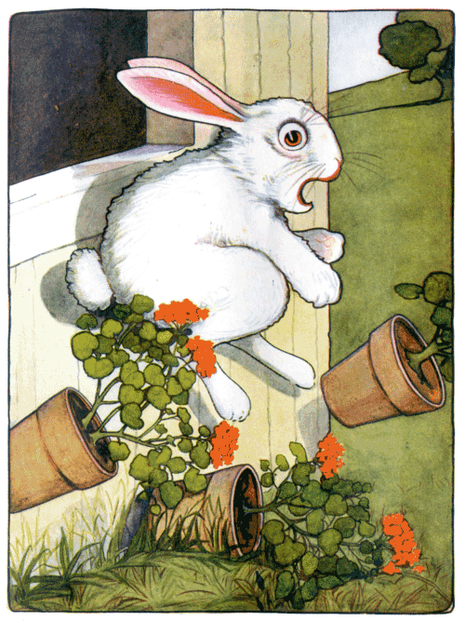 The Tale of Peter Rabbit (1916), page 35; illustration by Virginia Albert