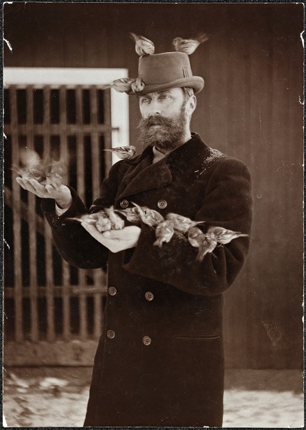Fotograf / Photographer: Robert Collett (1842-1913)