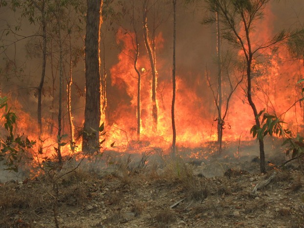 Bush fire at Captain Creek central Queensland Australia, December 2010