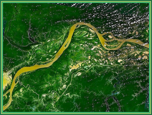 Amazonia-moradia