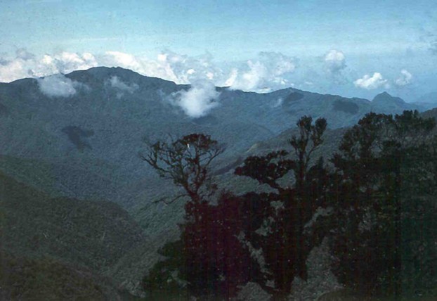 Ekuti Range, central Papua New Guinea. Bulldog Road rounds spur on middle right.