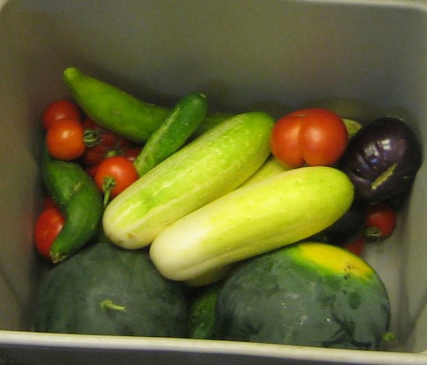 "Watermelon, eggplant, tomatoes, cucumbers and peppers will appear on dinner plates this week."