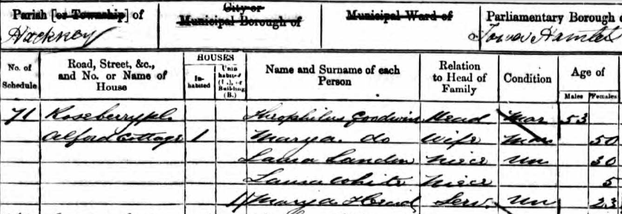 Image: Laura Landon in the 1861 Census
