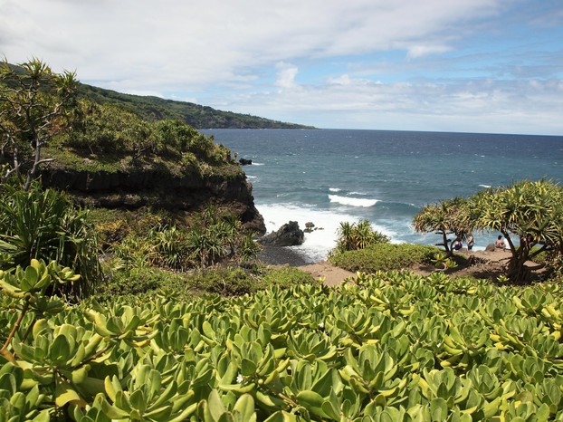 Hawaiian View