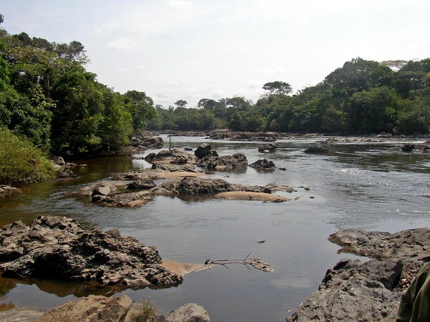 Epulu River flowing through the Okapi Fauna Reserve, Democratic Republic of the Congo
