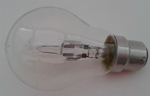 Halogen Light Bulb