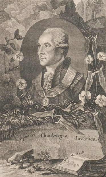 Voyages de C.P. Thunberg, au Japon, par le Cap be Bonne Espérance, les Isles de la Sonde, etc. (1796), frontispiece