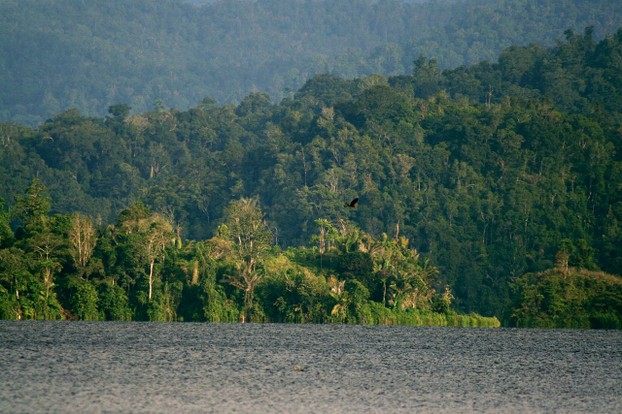 Danau Lindu in Lore Lindu National Park, Central Sulawesi, Indonesia