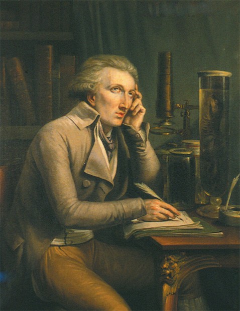 portrait by Mattheus Ignatius van Bree (February 22, 1773 - December 15, 1839)