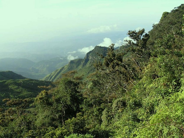 southern plateau of central highlands, Central Province, Sri Lanka