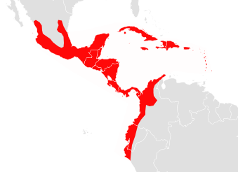 Distribution data from IUCN Red List