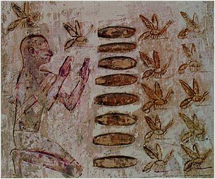 Ancient Egyptian Beekeeping