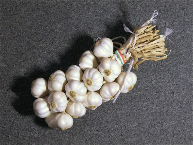 Česnekový cop (garlic braid)