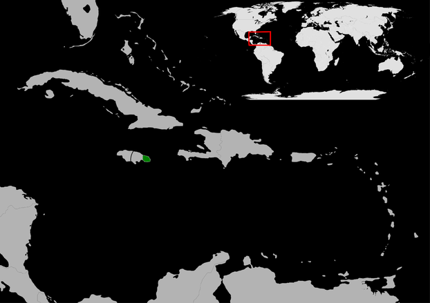 H.A. Raffaele, J. Wiley, O.H. Garrido, A.R. Keith, and J.I. Raffaele, Field Guide to the Birds of the West Indies (2003)