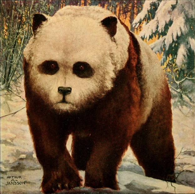 Natural History, Journal of the American Museum of Natural History, vol. XXX, no. 1 (January-February 1930), cover