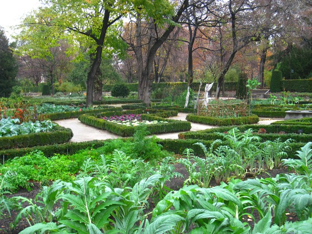 Terraza de los Cuadros includes edibles (such as cabbages), medicinals, ornamentals in 16 boxwood-hedged parterres.