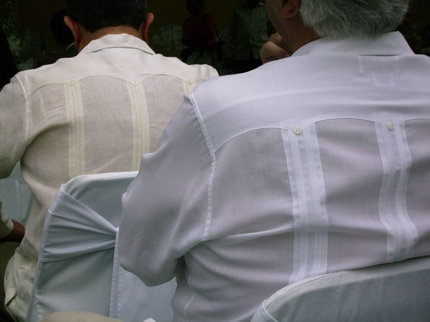Guayabera shirt from back with details of alforza pleats and western-style yokes