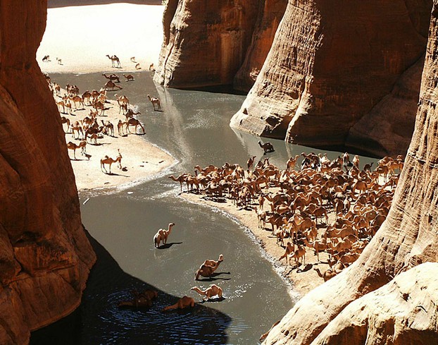 Guelta d'Archei, Ennedi, northeastern Chad