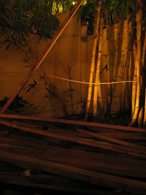 Cambodia: bamboo