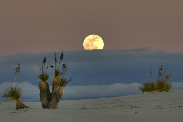 White Sands National Monument, south central New Mexico