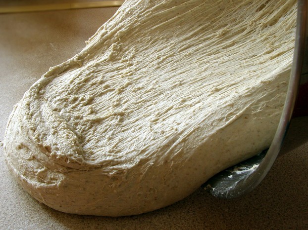 texture of risen dough
