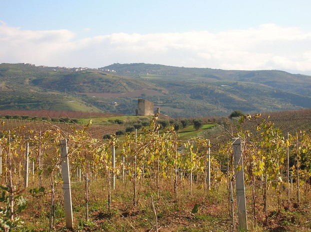 Fedula, hamlet of San Lorenzo del Vallo, Cosenza Province, Calabria, southern Italy