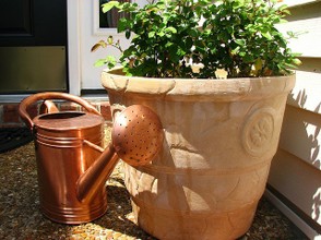 Polished Watering Can